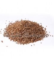 Sıfy Kişniş Tane 100 gr